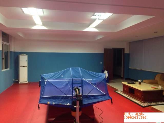 供应专业羽毛球/乒乓球馆(室,房,场)装饰装修与灯光照明