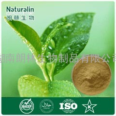 朗林生物厂家热销绿茶提取物茶氨酸20%-40%