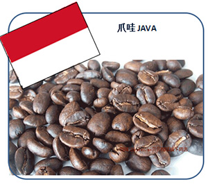 供应印尼咖啡豆 爪哇 JAVA咖啡豆 