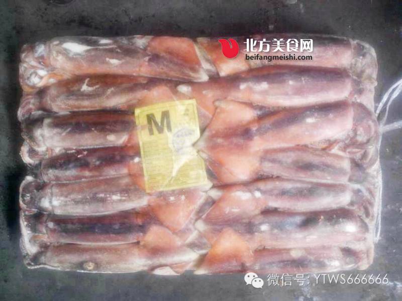 烟台水星食品有限公司供应阿根廷鱿鱼