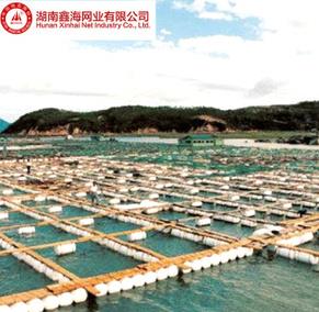 生产供应 水库草鱼网箱 折叠式捕鱼网箱