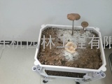 蘑菇花盆和蔬菜花盆