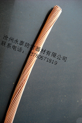 批发大量铜包钢绞线厂家沧州永泰防雷器材有限公司