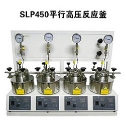 武汉销售SLP450平行高压反应釜