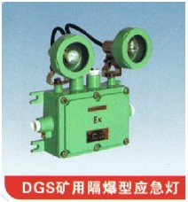 DGS20/127矿用应急专用灯  矿用防爆双头应急灯  