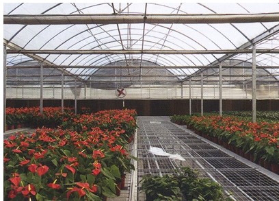 潍坊可信赖的花卉连栋温室提供商，优质连栋温室