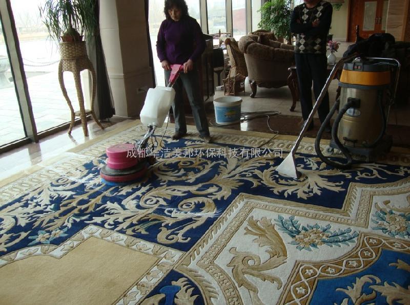 成都专业地毯清洗 地毯清洗消毒 成都地毯清洗公司