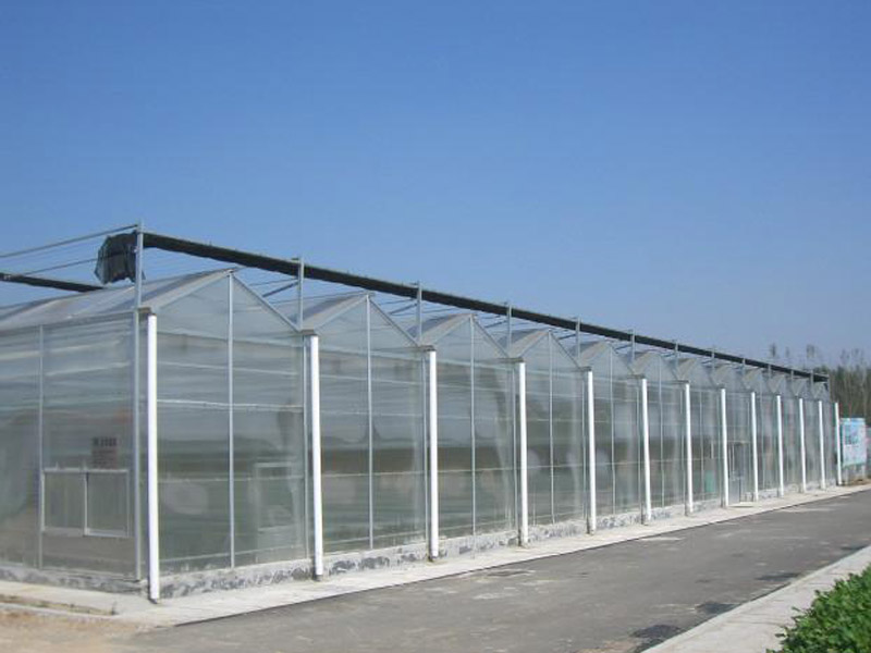 建造农业温室大棚，为您推荐合格的农业温室