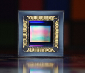 高帧速CMOS Sensor LUX1310，以及配套 LCC插座，评估板LUX1310‐EVS