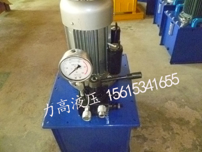 重庆电动油泵_质量好的电动油泵推荐