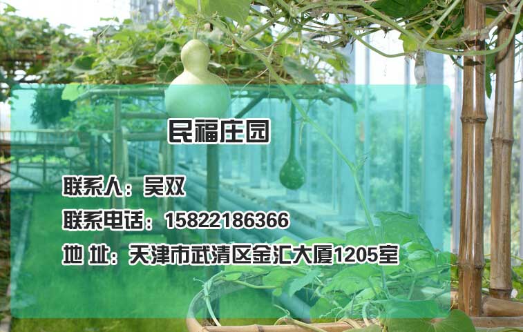 远航房地产经纪公司供应便宜的民福庄园生态大棚——租大棚种菜哪里有