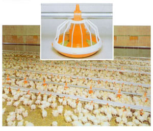 养鸡设备生产厂家