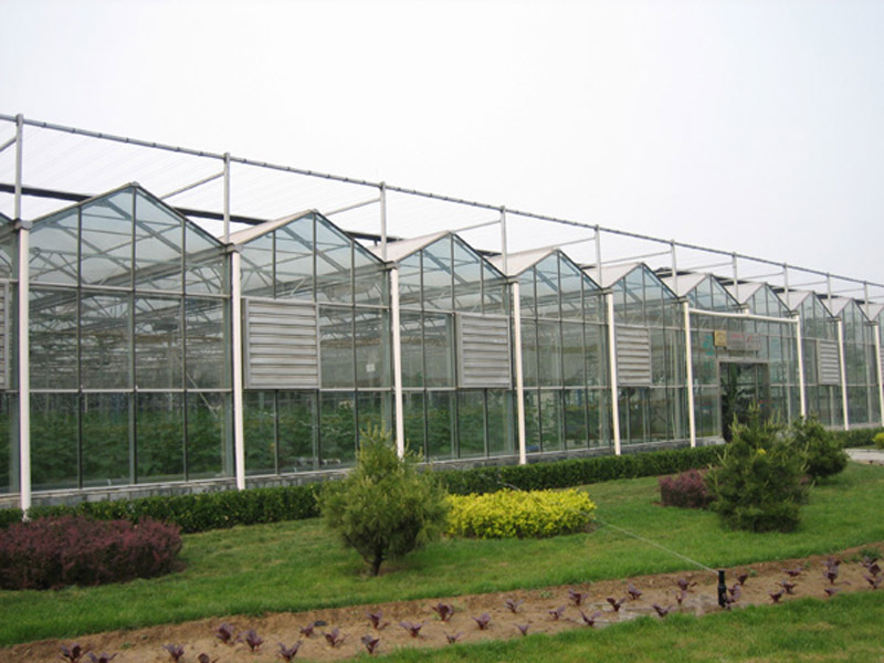 潍坊可信赖的日光温室提供商 花卉温室建设