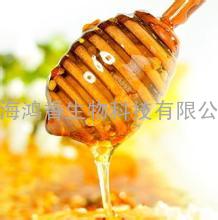 蜂蜜销售高 鸿香源蜂蜜厂家