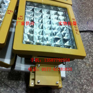 50W防爆灯 LED防爆灯50W BLED9117-50h