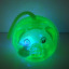 厂家直销 TPR软胶动物 透明发光小猪 YOYO球 闪光玩具