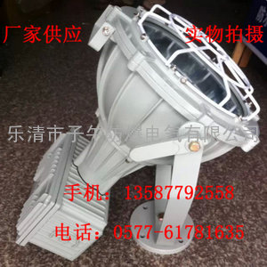 BAT51-L250xZ防爆投光灯