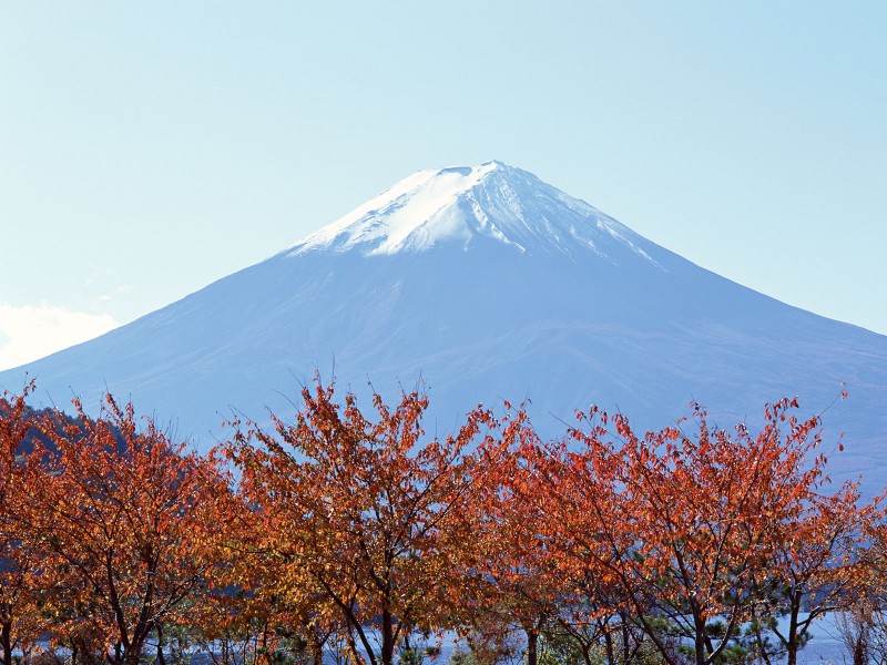 富士山 服务周到的日本秋之赏枫，陕中旅提供