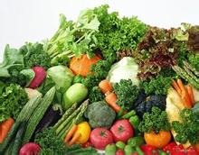 石家庄最便宜的绿色蔬菜哪里买_绿色蔬菜厂家供应
