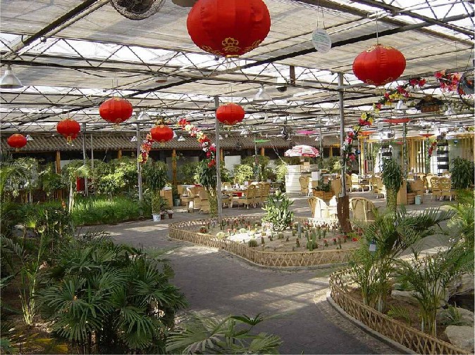 蚌埠生态智能温室餐厅_【荐】最好的温室生态餐厅厂家
