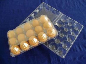 塑料鸡蛋托厂家：想买性能可靠的塑料鸡蛋托，那么就到鑫洋