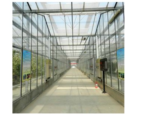 郑州优惠的玻璃温室大棚供应_玻璃温室大棚哪家好