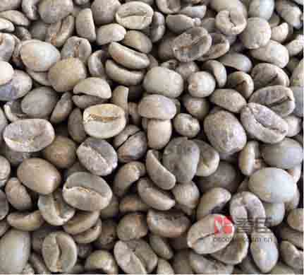 精品进口咖啡豆经销商批发巴西豆 新鲜咖啡豆子 南美洲咖啡豆直销