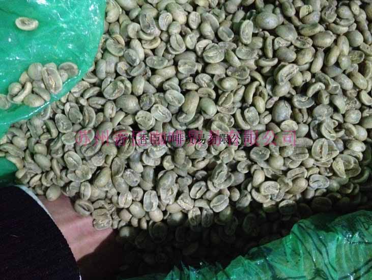 品牌批发商批发进口精品咖啡生豆大象豆原产地萨尔瓦多 帕卡马拉
