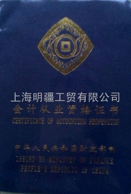 承接上海中小贸易公司代理记账业务