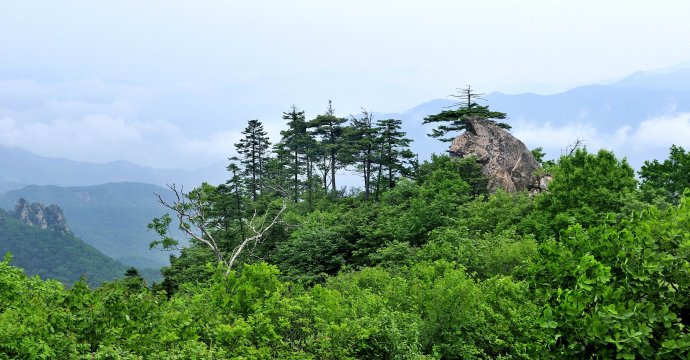 丹东天罡山原生态国家森林公园一日游