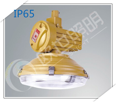 SBD1105-YQL120免维护节能防爆灯