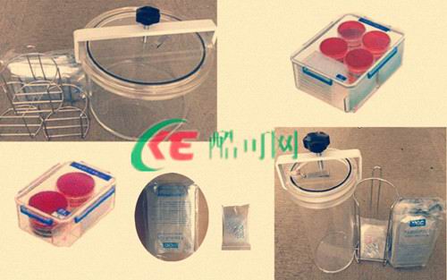 密封培养盒，厌氧培养罐 -坤科生产销售