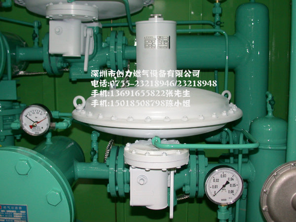 ITRON- RBE4011调压器 RBE4020减压阀