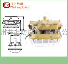 50瓦SBF6101-YQL50免维护节能防水防尘泛光无极灯