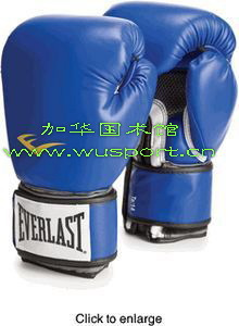 正品 男士 拳击手套 Everlast Pro Style Training