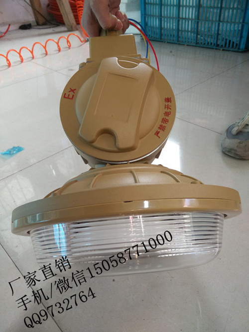 SBD1102-YQL40C2,免维护节能防爆弯灯