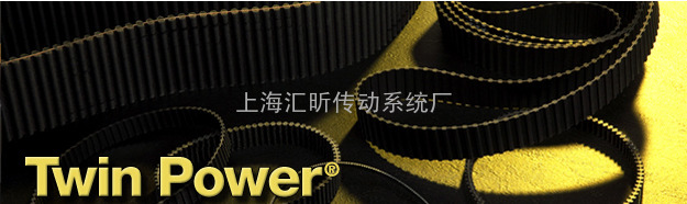 PowerGrip&amp;reg; Twin Power &amp;reg; Timing 皮带目