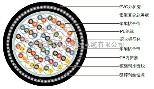 BS5308(铠装）PE绝缘+总屏蔽+铠装+PVC护套 