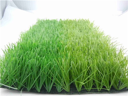 杭州足球场草坪供应，足球草价格