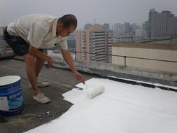 建筑屋顶外墙用反射降温涂料