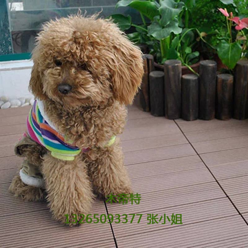 diy塑木地板 300*300*25 塑木地板 塑木拼花地板快易铺diy地板