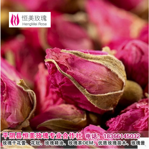 玫瑰花茶什么牌子好