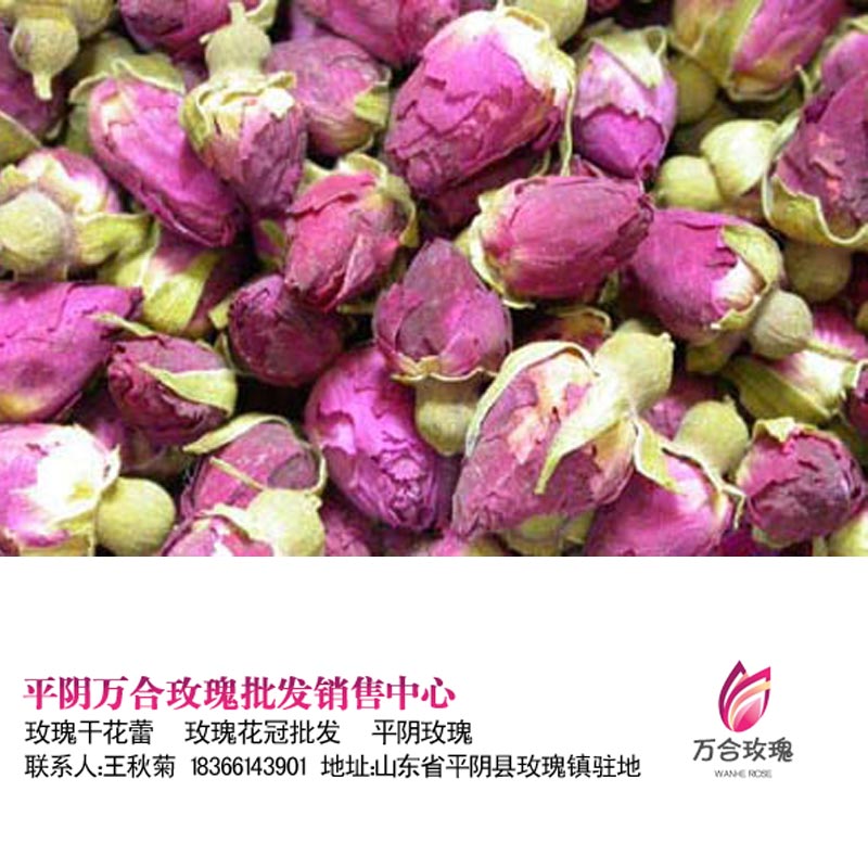 2015年平阴玫瑰茶批发干玫瑰花蕾