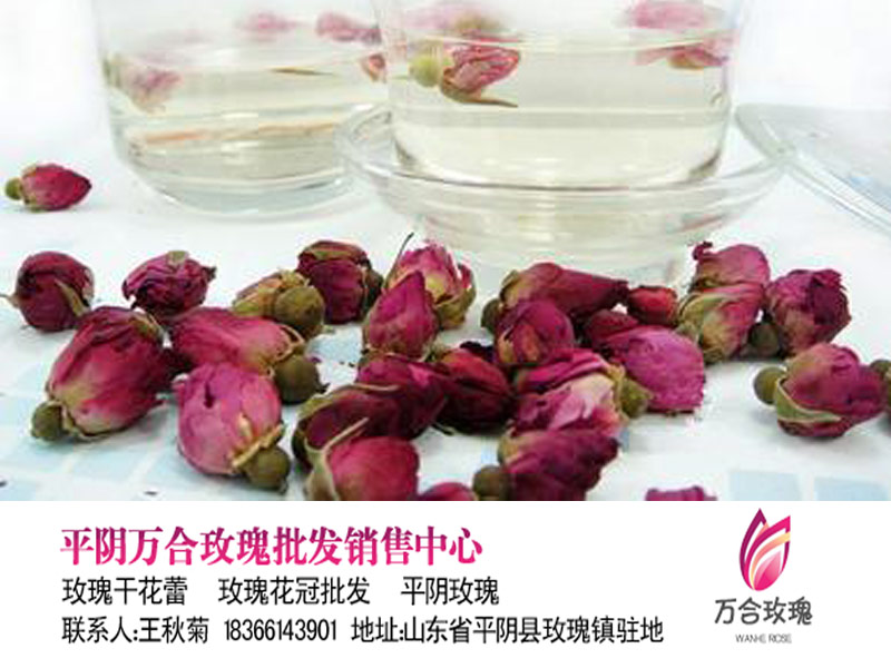 批发山东特产平阴玫瑰花茶干玫瑰花蕾