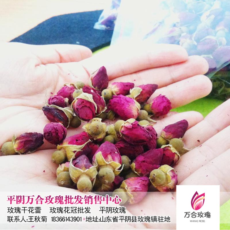 济南特产平阴玫瑰花茶无硫玫瑰干花蕾