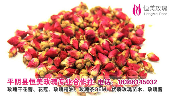 出售红玫瑰花茶正品特级平阴干玫瑰花茶 