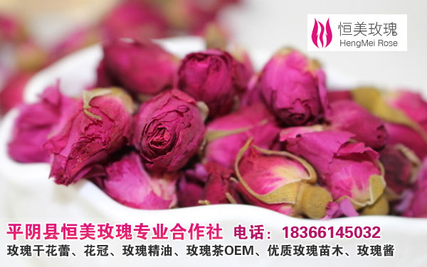 批发供应玫瑰花茶|玫瑰花蕾