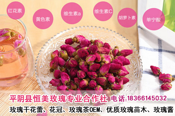 山东平阴玫瑰花茶，散装零售天然无硫