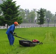 草坪割草机手推自走式草坪机