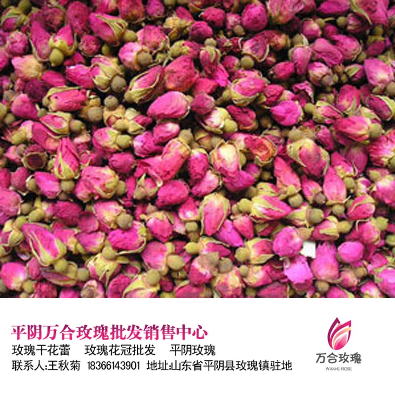 当季热销花果茶山东平阴玫瑰花茶